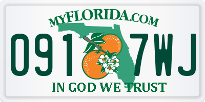 FL license plate 0917WJ
