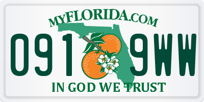 FL license plate 0919WW
