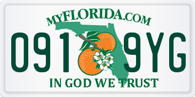 FL license plate 0919YG