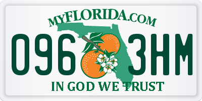 FL license plate 0963HM