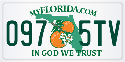 FL license plate 0975TV