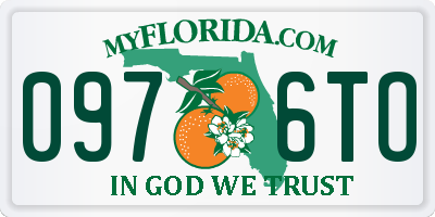 FL license plate 0976TO