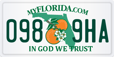 FL license plate 0989HA