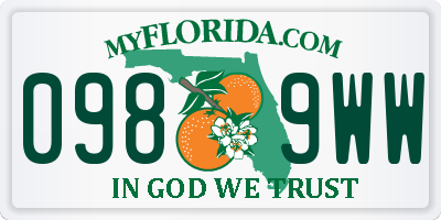 FL license plate 0989WW