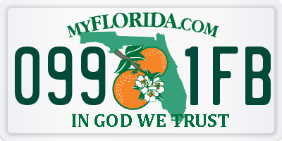 FL license plate 0991FB