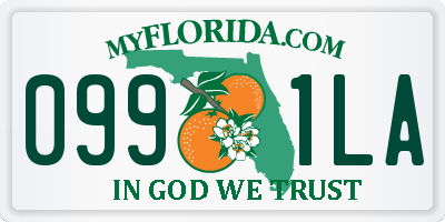 FL license plate 0991LA