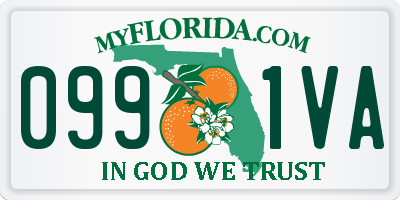 FL license plate 0991VA