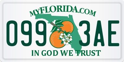 FL license plate 0993AE
