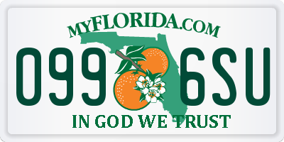 FL license plate 0996SU