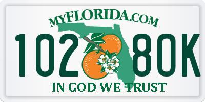 FL license plate 1028OK