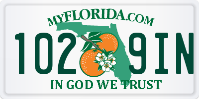 FL license plate 1029IN