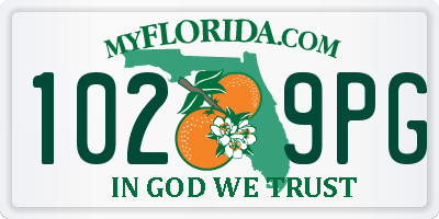 FL license plate 1029PG