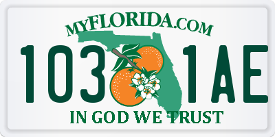 FL license plate 1031AE