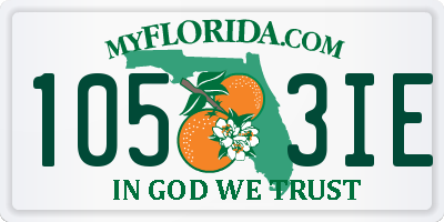 FL license plate 1053IE