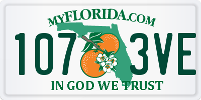 FL license plate 1073VE