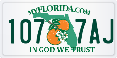 FL license plate 1077AJ
