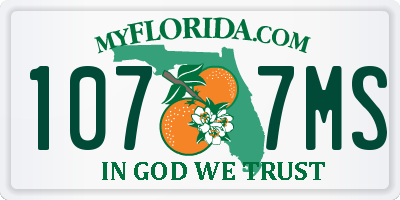 FL license plate 1077MS