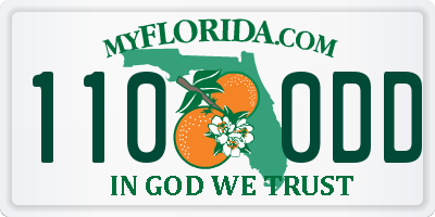 FL license plate 1100DD