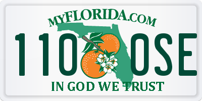 FL license plate 1100SE