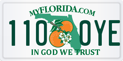FL license plate 1100YE