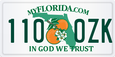 FL license plate 1100ZK