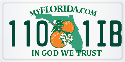 FL license plate 1101IB