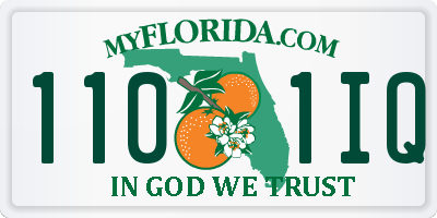 FL license plate 1101IQ