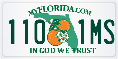 FL license plate 1101MS