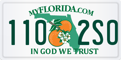 FL license plate 1102SO