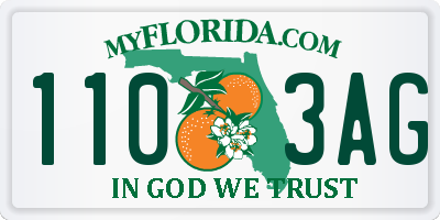 FL license plate 1103AG