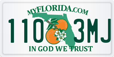 FL license plate 1103MJ