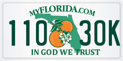 FL license plate 1103OK