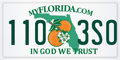 FL license plate 1103SO