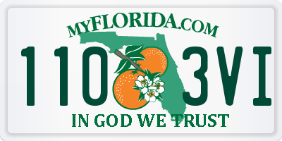 FL license plate 1103VI