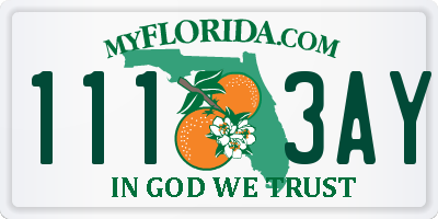 FL license plate 1113AY