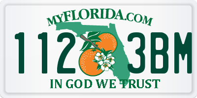 FL license plate 1123BM