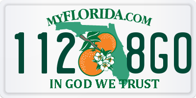 FL license plate 1128GO