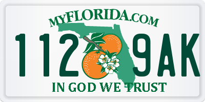 FL license plate 1129AK