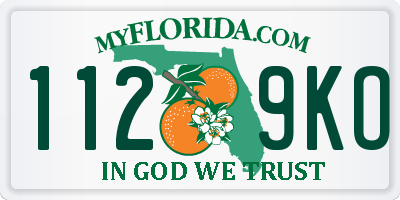 FL license plate 1129KO