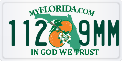 FL license plate 1129MM