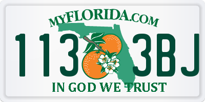 FL license plate 1133BJ