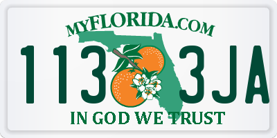FL license plate 1133JA