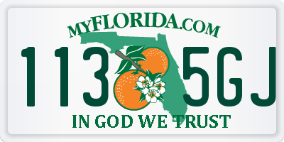 FL license plate 1135GJ
