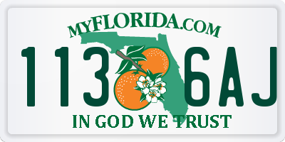 FL license plate 1136AJ