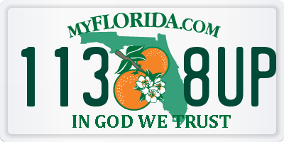 FL license plate 1138UP