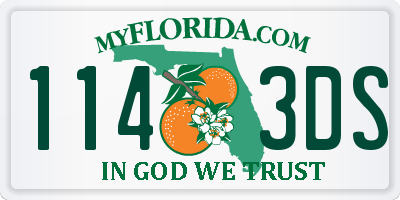 FL license plate 1143DS