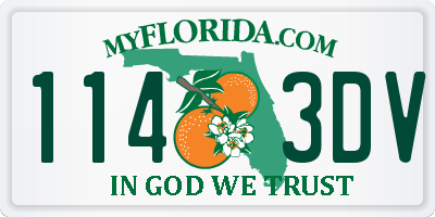 FL license plate 1143DV