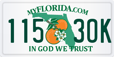 FL license plate 1153OK