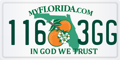 FL license plate 1163GG