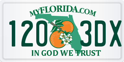 FL license plate 1203DX